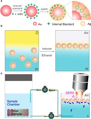 Self-assembled core-shell nanoparticles with embedded internal standards for SERS quantitative detection and identification of nicotine released from snus products